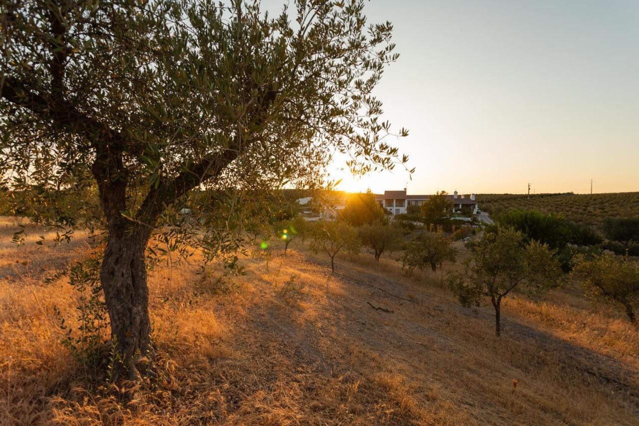 Monte Da Estrela - Country House & Spa โมรา ภายนอก รูปภาพ