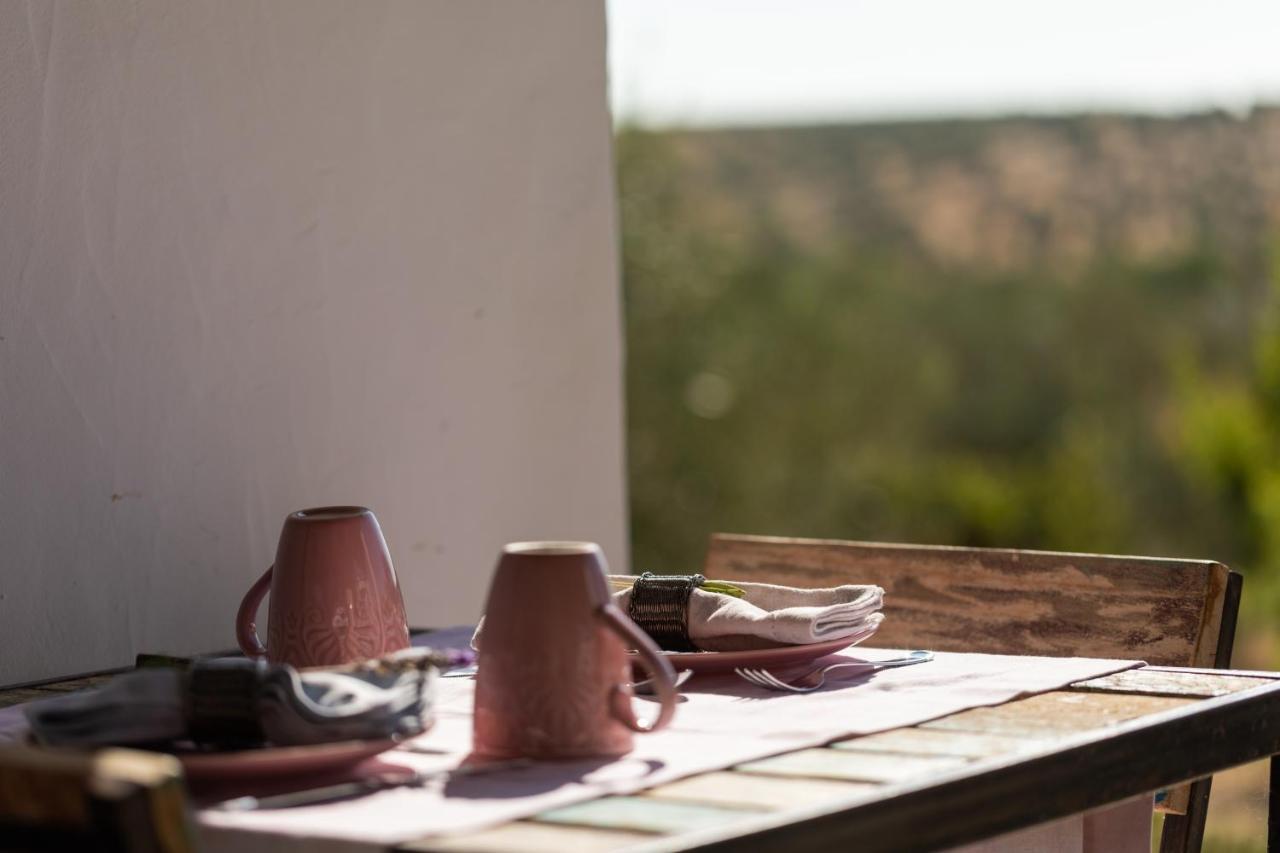 Monte Da Estrela - Country House & Spa โมรา ภายนอก รูปภาพ